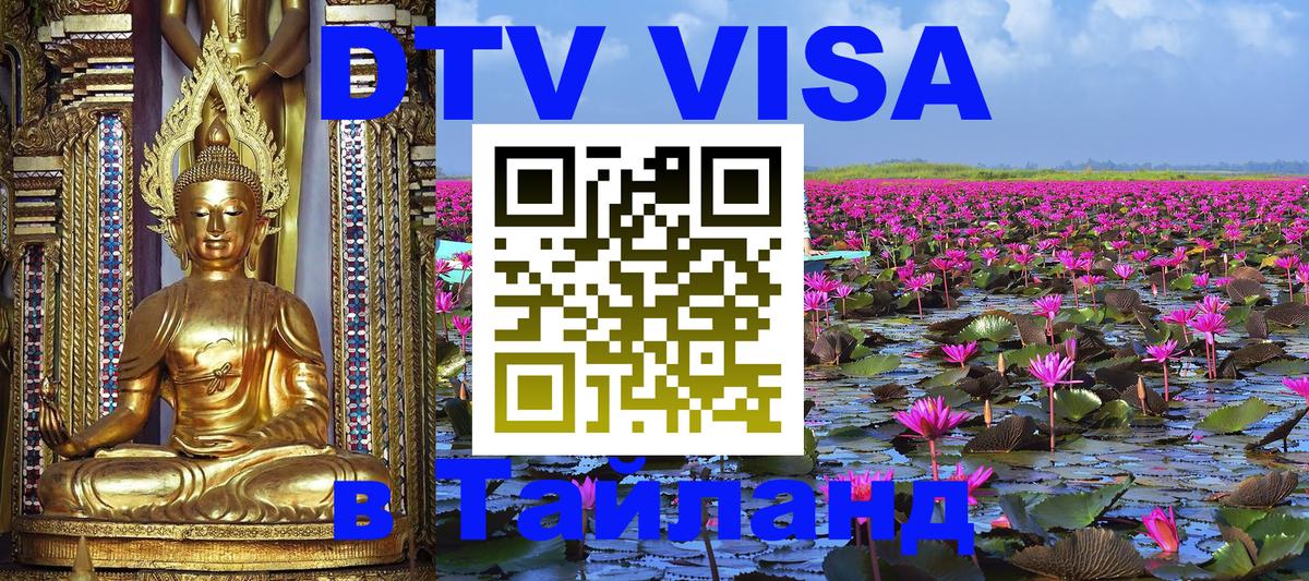 Оформление DTV визы под ключ: стоимость и тарифы, только загранпаспорт - Калининград  08.12.2025 